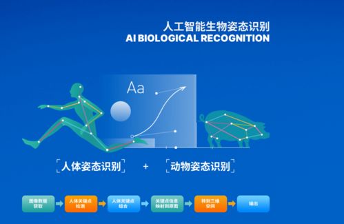 博拉網(wǎng)絡攜多款大數(shù)據(jù)AI應用亮相2021重慶智博會 以技術(shù)創(chuàng)新驅(qū)動智慧未來