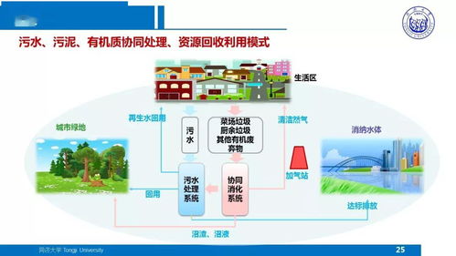 面向污水廠提質增效的污泥處理處置技術方向思考——戴曉虎分享