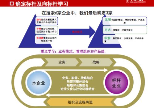 龍湖、萬達(dá)、華潤(rùn)商業(yè)地產(chǎn)管控與產(chǎn)品線專題研究